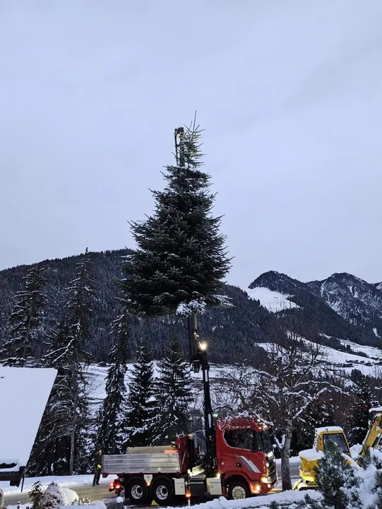 Ein großer Christbaum wird mit einem Lkw-Kran aufgestellt